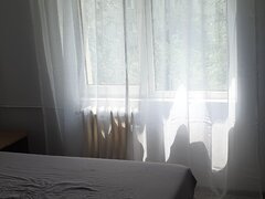 Ciocirliei, zona Delfinului, Pantelimon